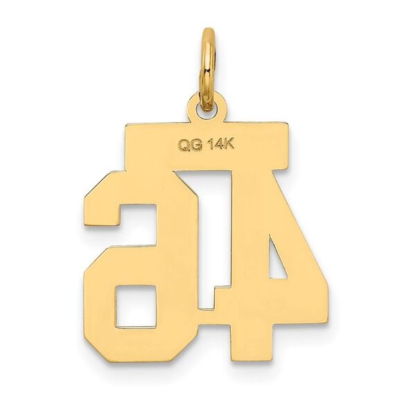 14k Yellow Gold, Jersey Collection, Small Number 46 Pendant - Picture 3 of 6